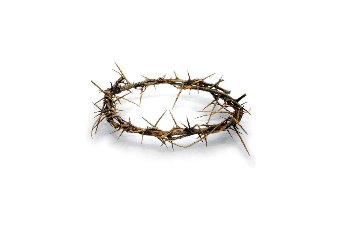 Crown Of Thorns