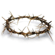 Crown of Thorns from Jerusalem 8" - Lion of Judah Market