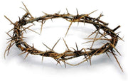 Crown of Thorns from Jerusalem - 8" - Lion of Judah Market