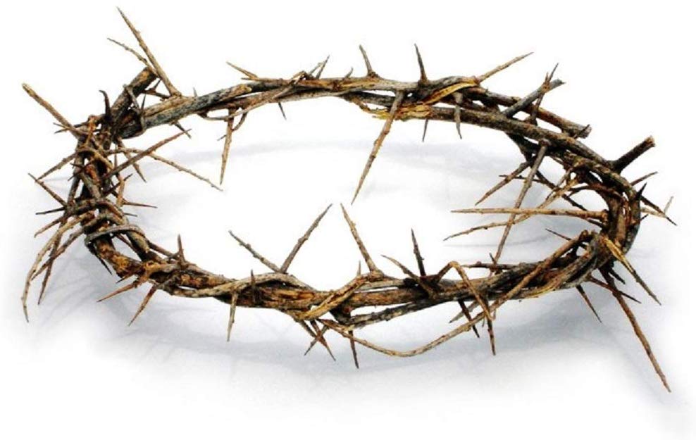 Crown of Thorns from Jerusalem - 8" - Lion of Judah Market