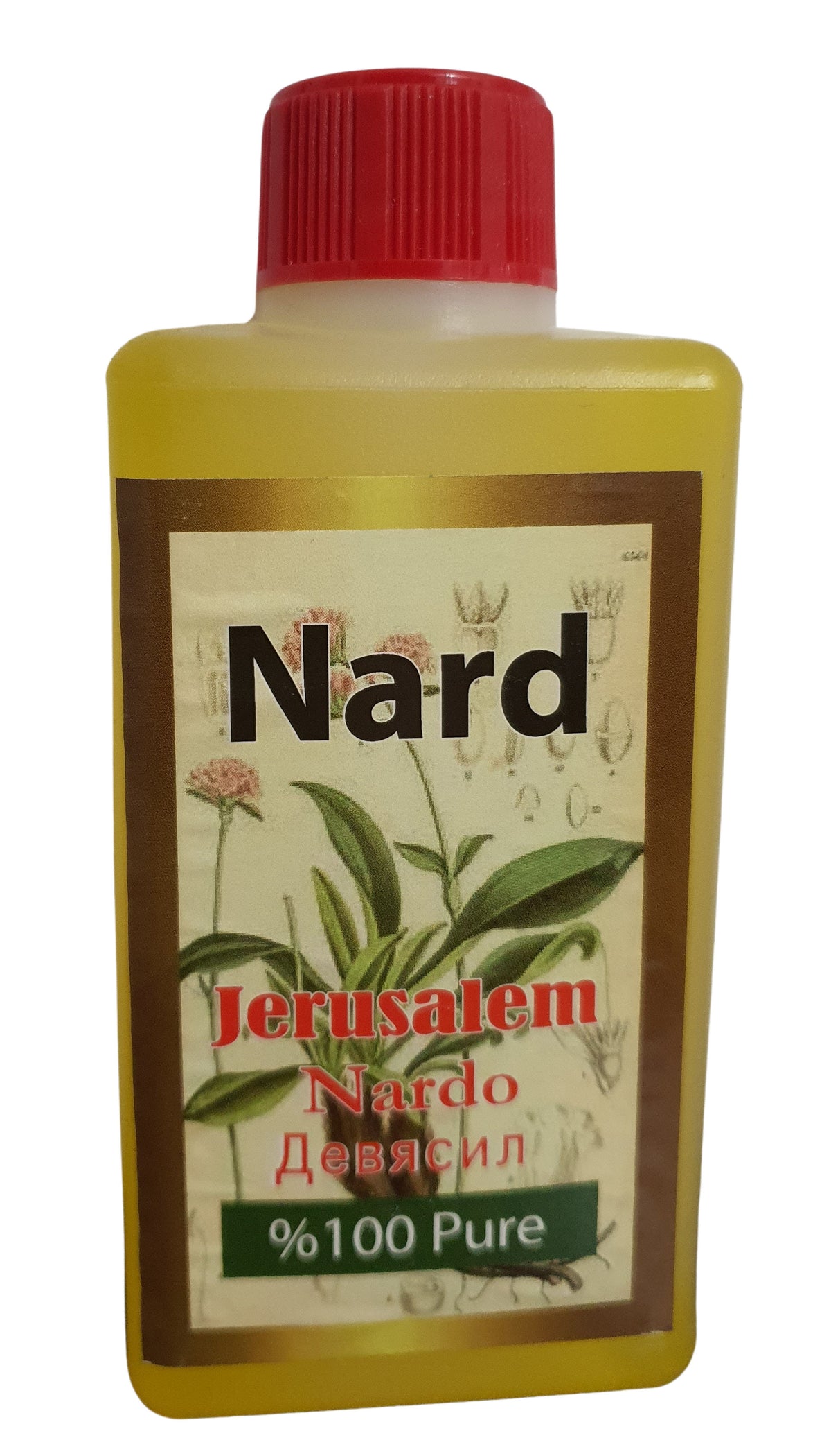 Large 300ml Nard Anointing Oil Jerusalem - Lion of Judah Market