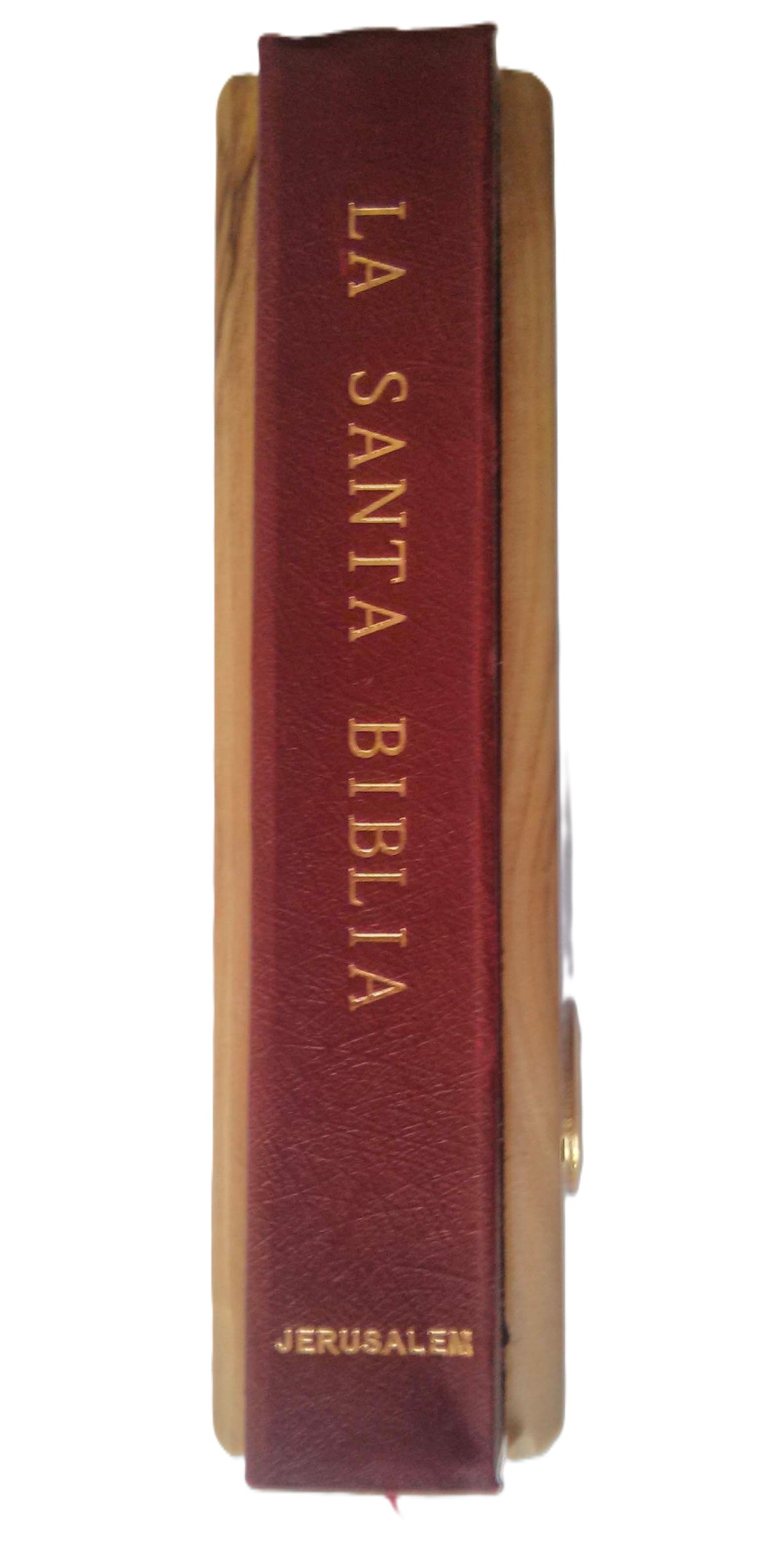 Olive Wood Bible with 'Jerusalem Soil' ~ Spanish - Lion of Judah Market