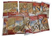 Set of 12 individually packed Christmas Tree Ornaments - Lion of Judah Market