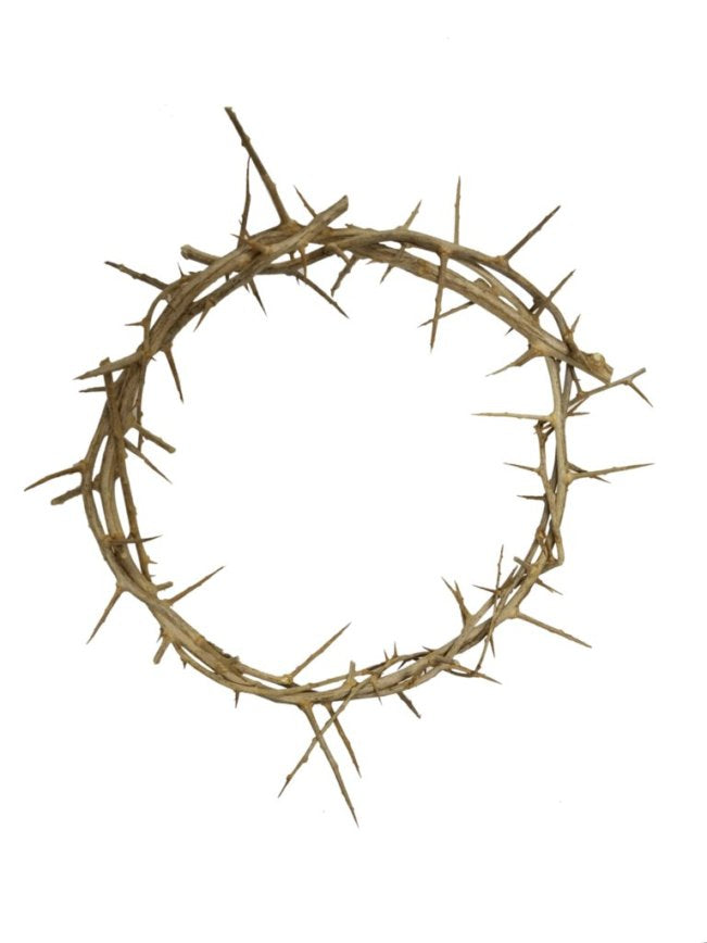 Crown of Thorns from Jerusalem - 5" - Lion of Judah Market