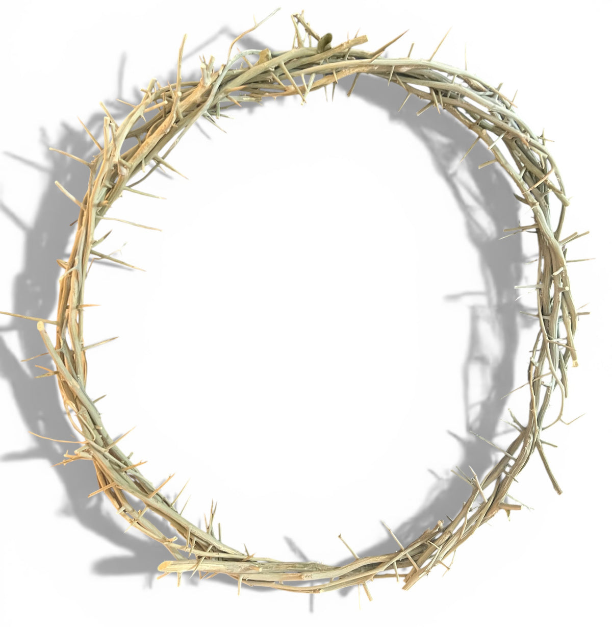 Crown of Thorns from Jerusalem - 21" - Lion of Judah Market