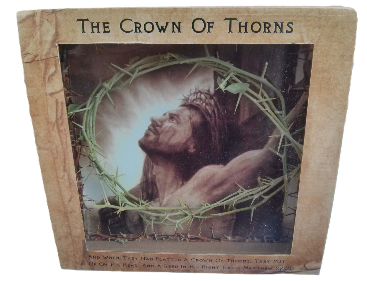 Crown of Thorns from Jerusalem - 8" in Box - Lion of Judah Market