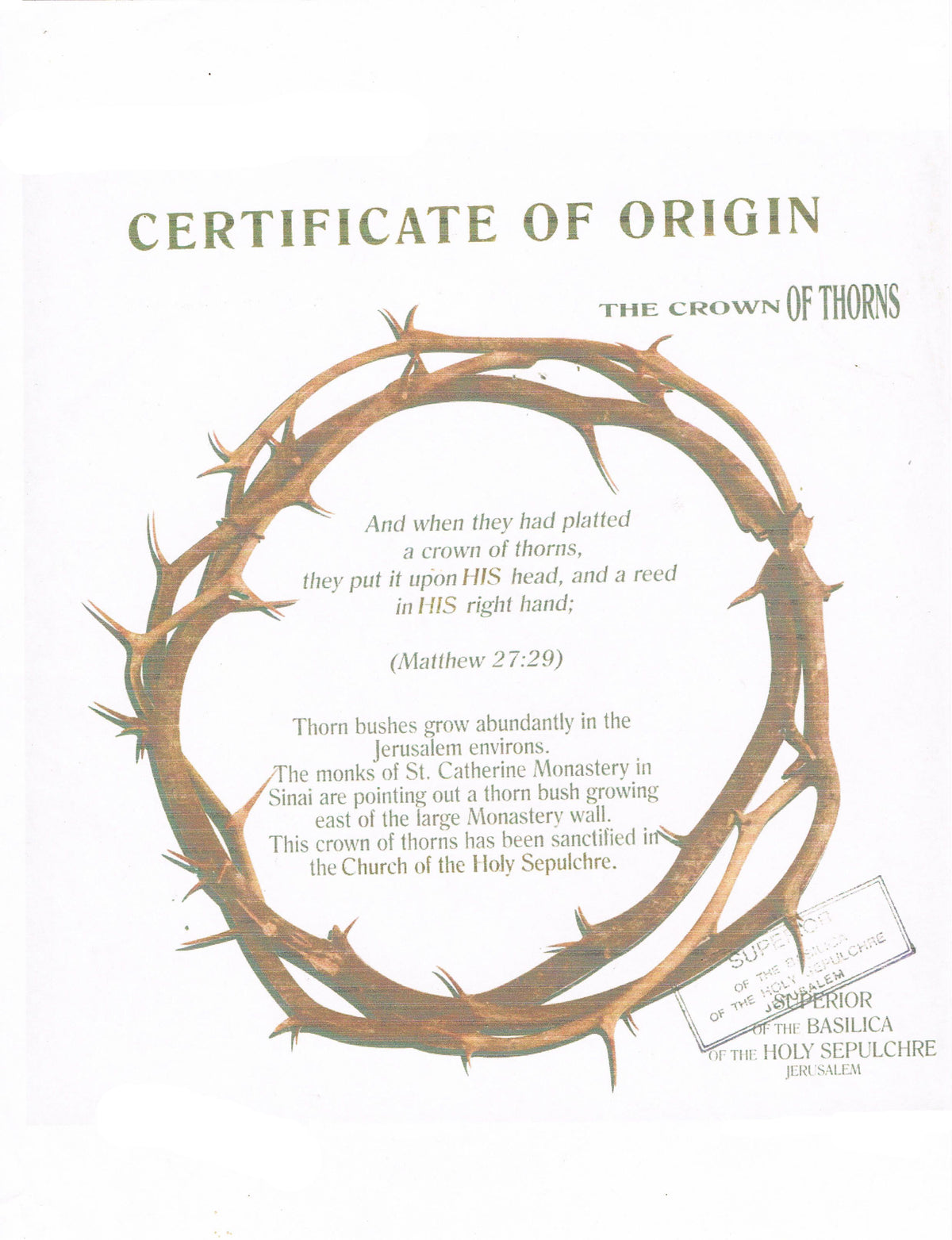 Crown of Thorns from Jerusalem 8" - Lion of Judah Market