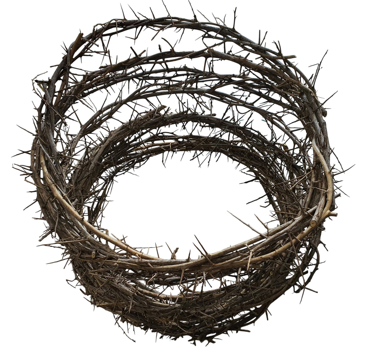Crown of Thorns from Jerusalem - 12" - Lion of Judah Market