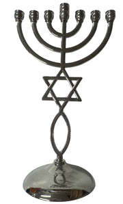 Messianic Grafted-In Silver Menorah 8" - Lion of Judah Market
