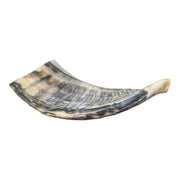 Kosher Ram Shofar 8"-10" Half Polished | Lion of Judah Market