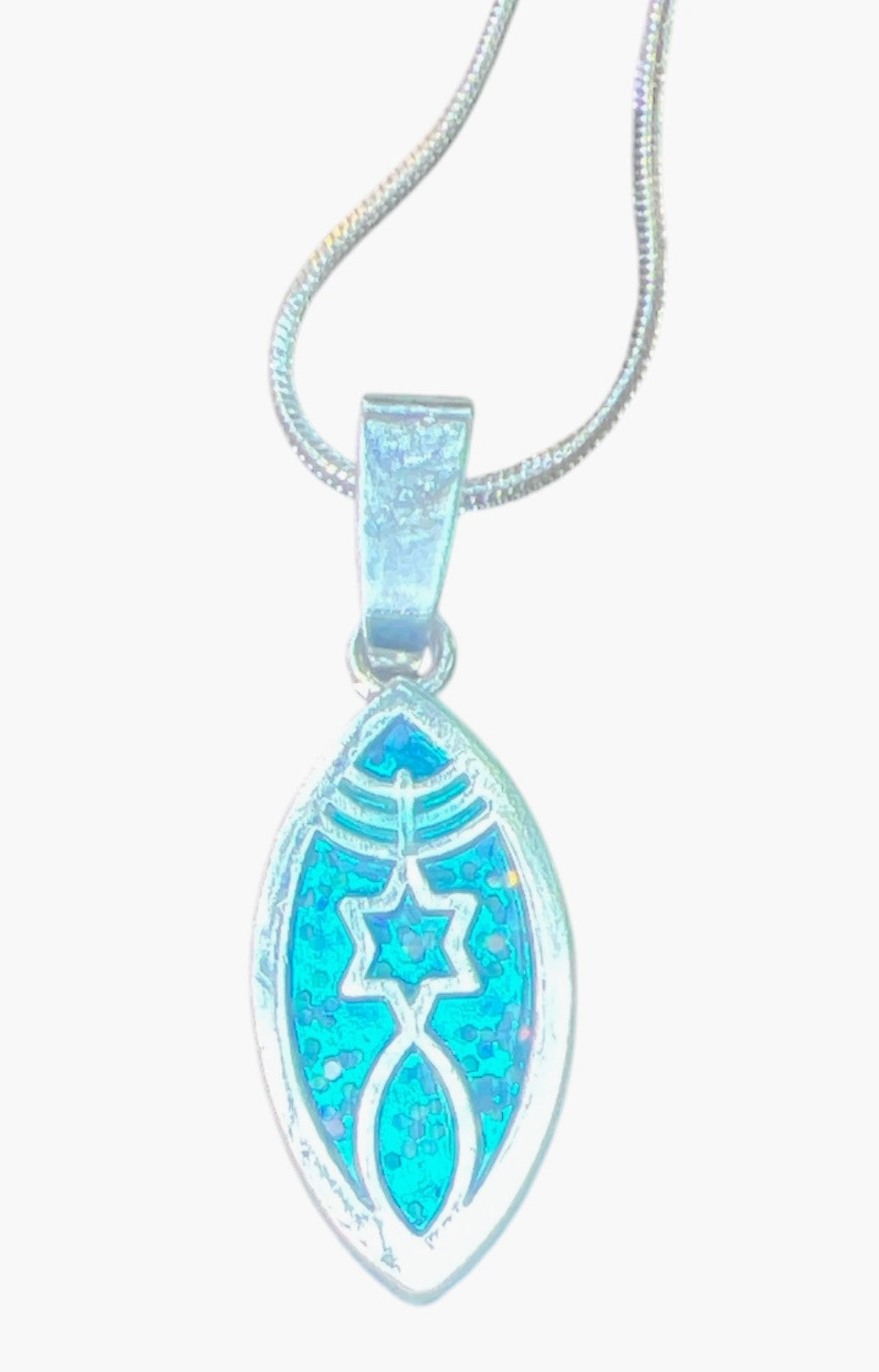 Messianic Grafted-in Silver Oval Pendant with Blue Enamel 1" Necklace 20" - Lion of Judah Market